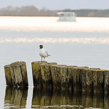 Feriehus Pet Friendly In With Sauna *